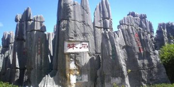Stone Forest