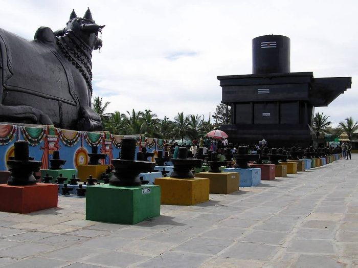 Side View Of Lingam