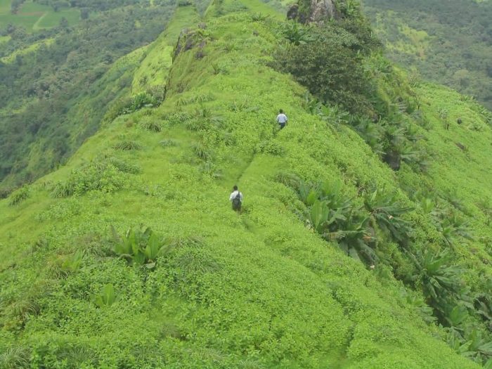 Sahyadri Hills, Treking
