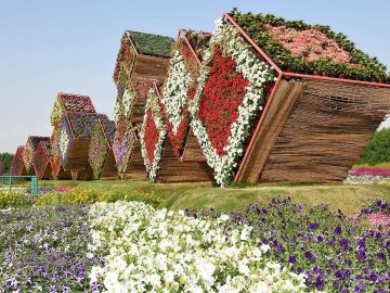 Miracle Garden In Dubai