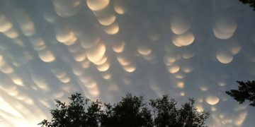 Mammatus Clouds