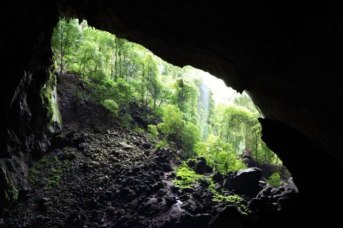 Deer Cave - Garden of Eden