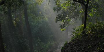 View of National Park