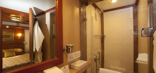 Bathroom In Maharaja Express