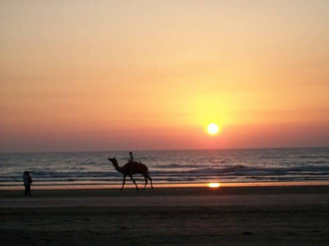 Camel Ride At Diveagar Beach