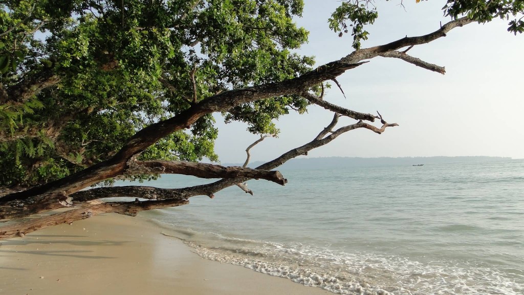 Havelock Island, Vijaynagar Beach