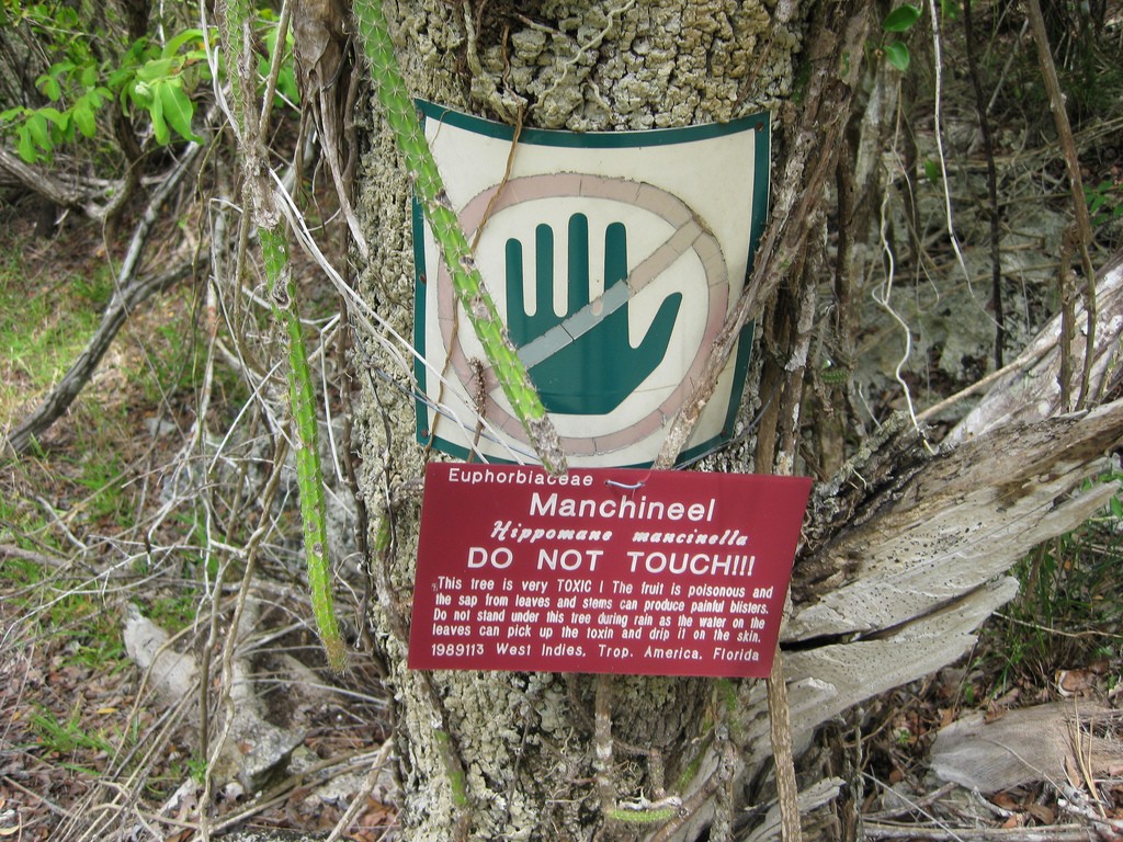 Manchineel_Tree_Warning