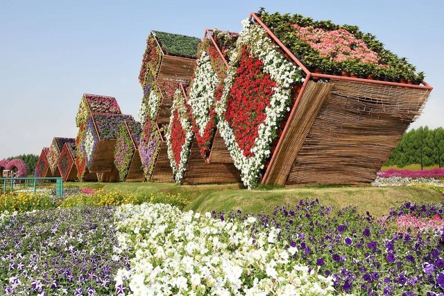 Miracle  Garden In Dubai