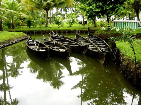 Kerala Boats