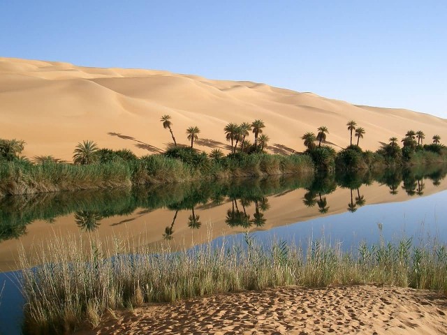 Oasis In Libya