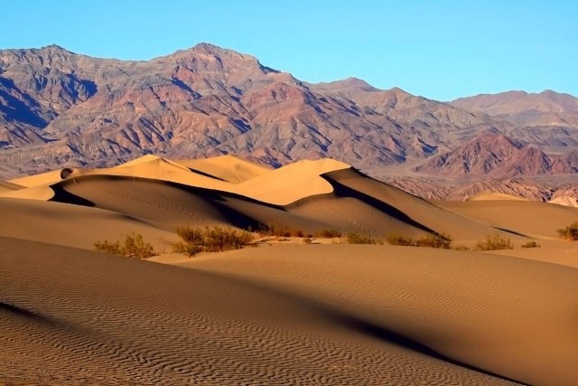 Mesquite Sand Dunes In Death Valley