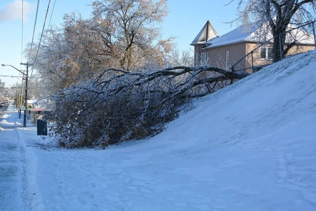 December 2013 Ice Storm In Ontario