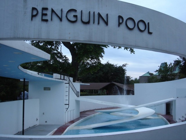 Penguin Pool