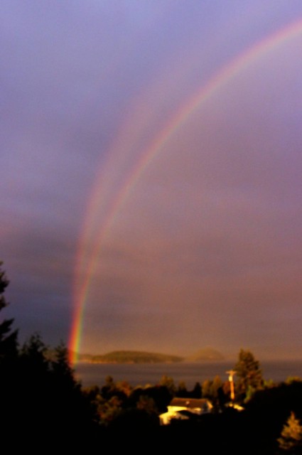 Reflection Rainbow