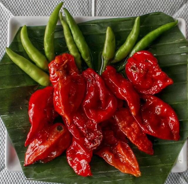 Bhoot Jolokia, Ghost Chili Pepper