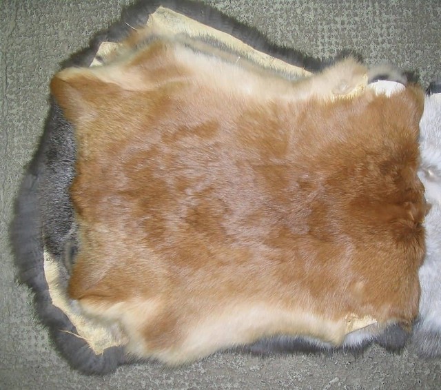 Rabbit Fur Skin