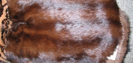 Rabbit Fur Skin